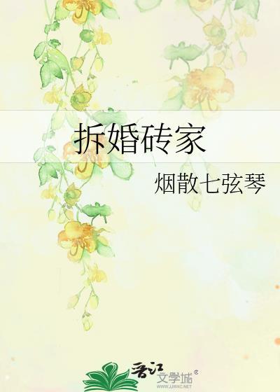 拆婚磚家