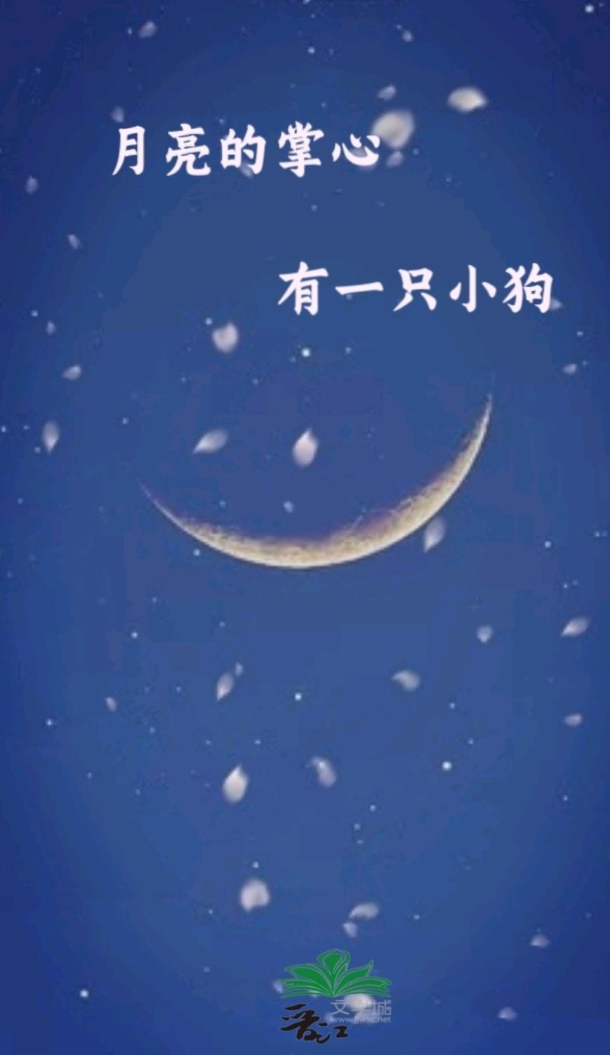 月亮的掌心有一只小狗