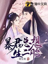 暴君總想生三胎
