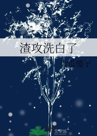 渣攻洗白了