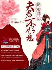 夫君不好惹：狂寵錦妻