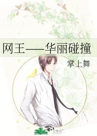 網王——華麗碰撞