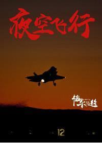 夜空飛行