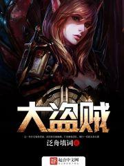 網游之大盜賊