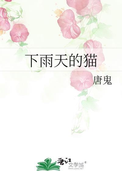 下雨天的貓
