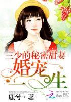 三少的秘密甜妻︰婚寵一生