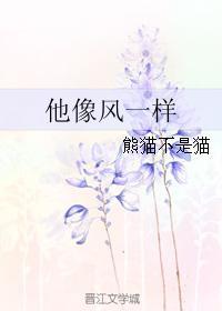 他像風一樣
