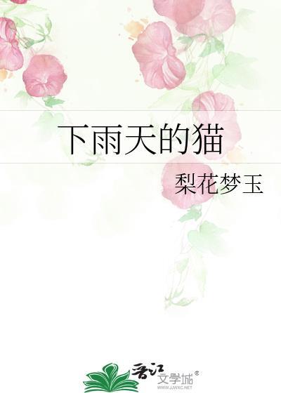 下雨天的貓