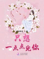 只想一點點寵你