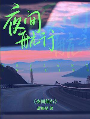 夜間航行