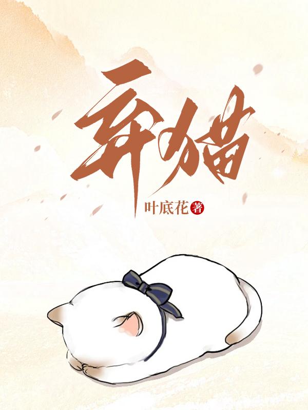 棄貓