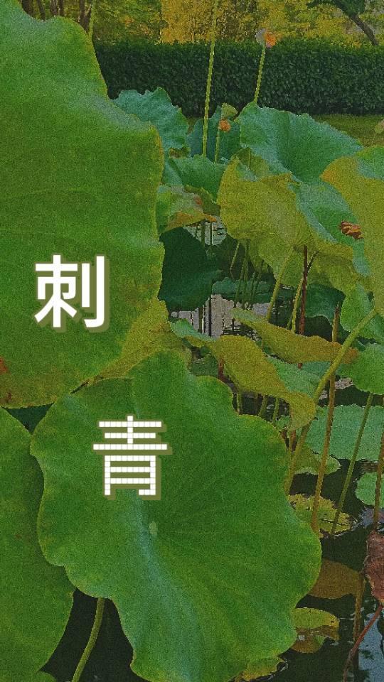 刺青