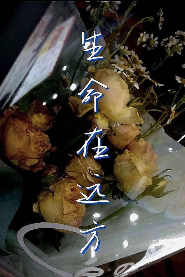 生命在遠方