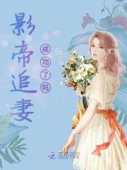 影帝追妻成功了嗎