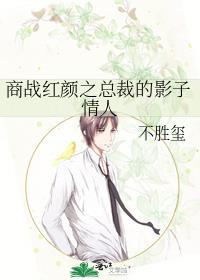 商戰紅顏之總裁的影子情人