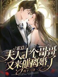 霍總，夫人的十個哥哥又來催離婚了