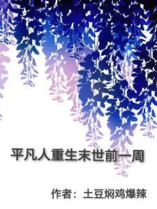 平凡人重生末世前一周
