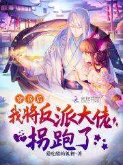 穿書後我将反派大佬拐跑了