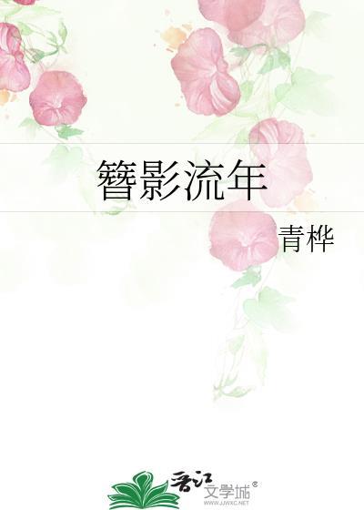 簪影流年