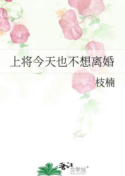 上将今天也不想離婚