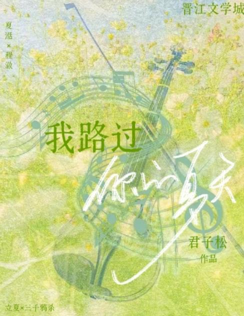 我路過你的夏天