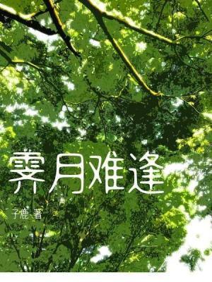 霁月難逢