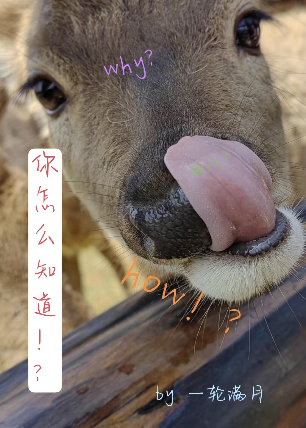 你怎麽知道！？