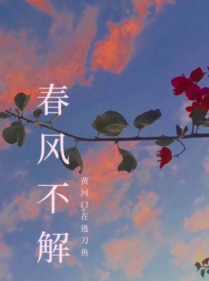 春風不解