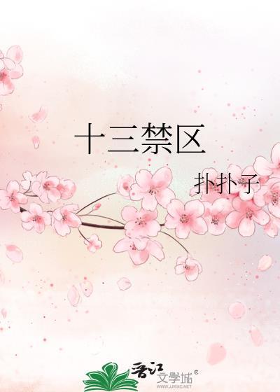 十三禁區