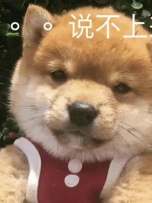 炮灰扮演員總因敬業而變成萬人迷