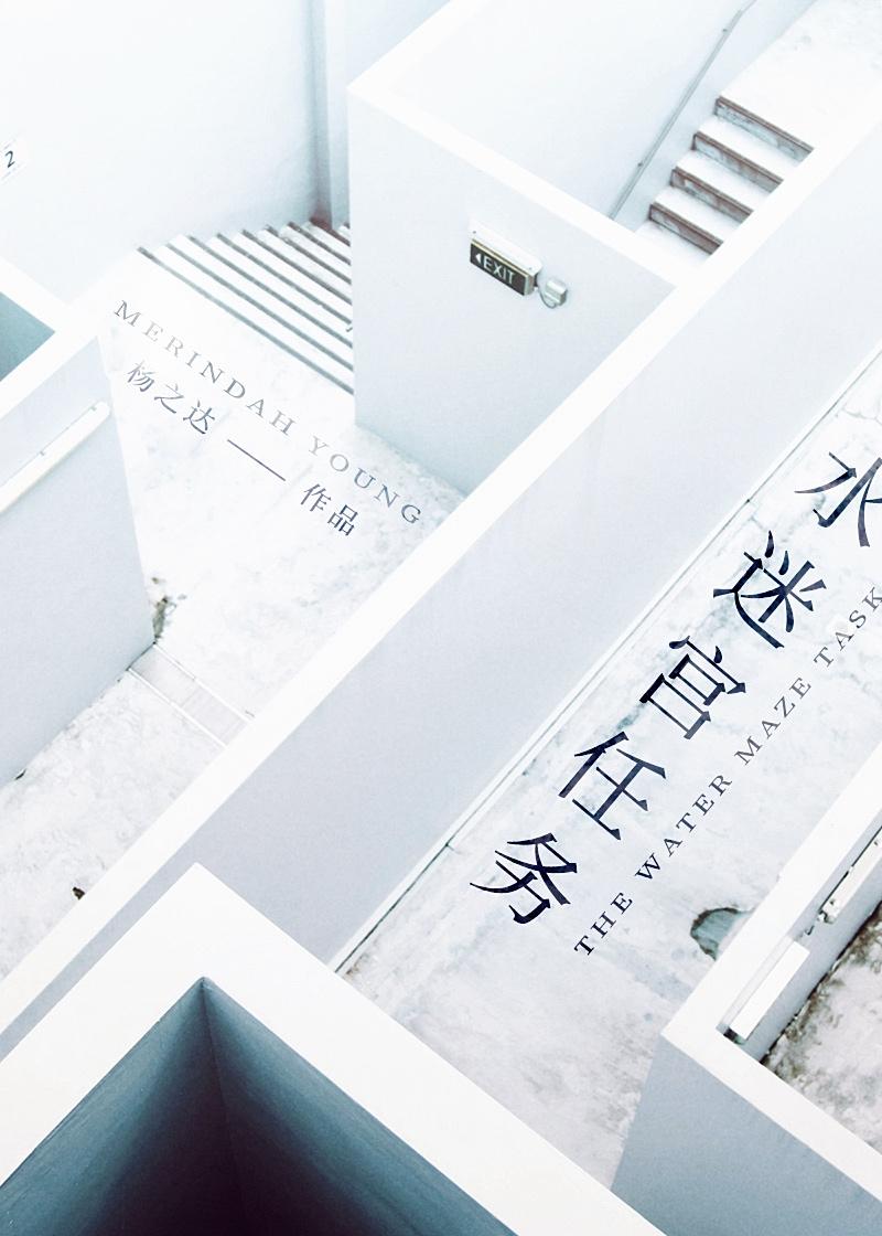 水迷宮任務