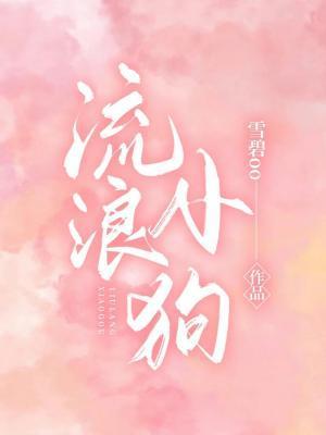 流浪小狗