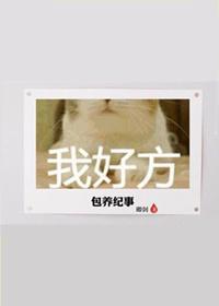 包養紀事