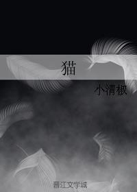 貓