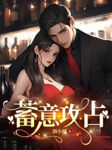 蓄意攻占