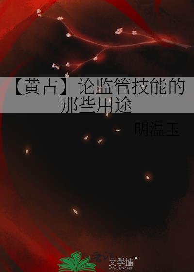 【黃占】論監管技能的那些用途
