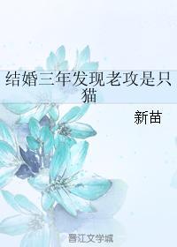 結婚三年發現老攻是只貓
