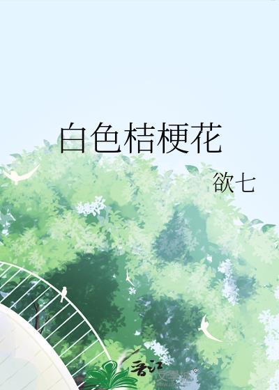 白色桔梗花