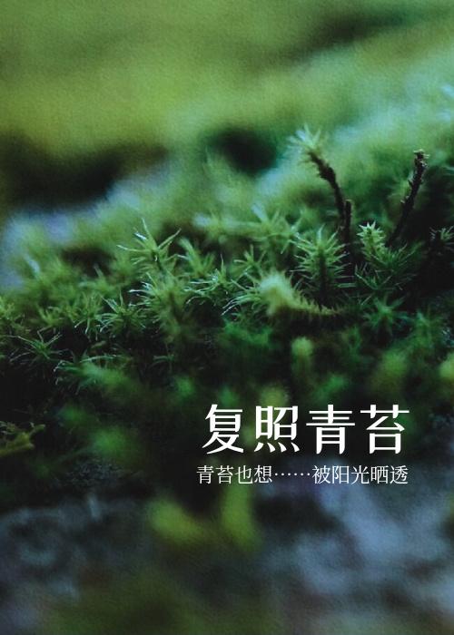 複照青苔