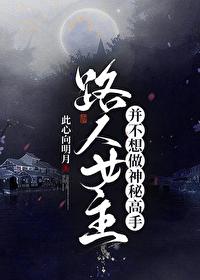 路人甲不想做神秘高手