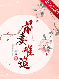 前妻難追