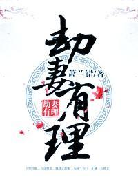 劫妻有理