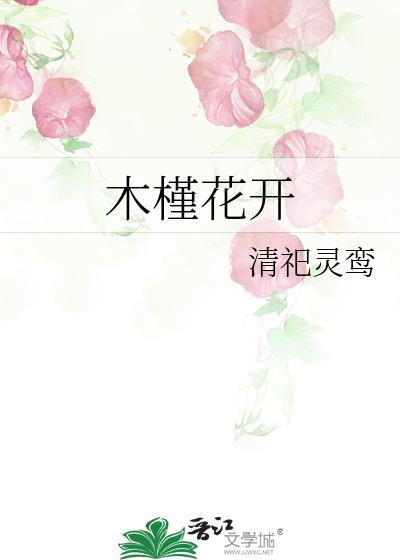 木槿花開