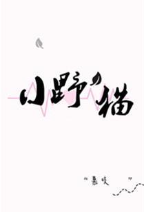 小野貓