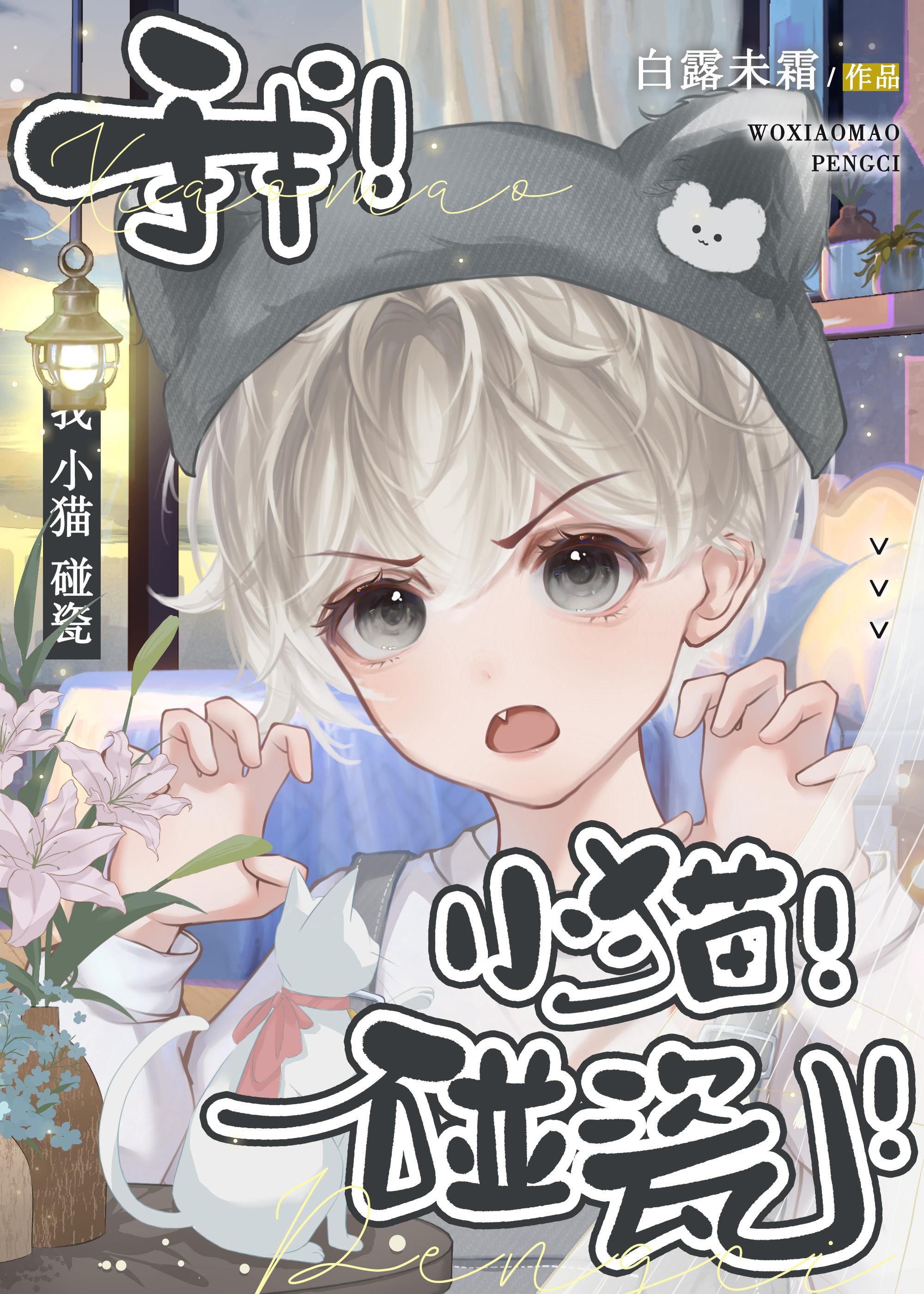 我，小貓，碰瓷