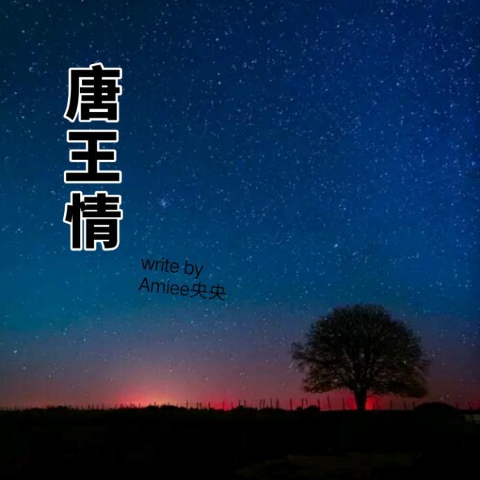 亂世唐王情