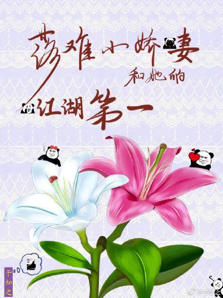 落難小嬌妻和她的江湖第一