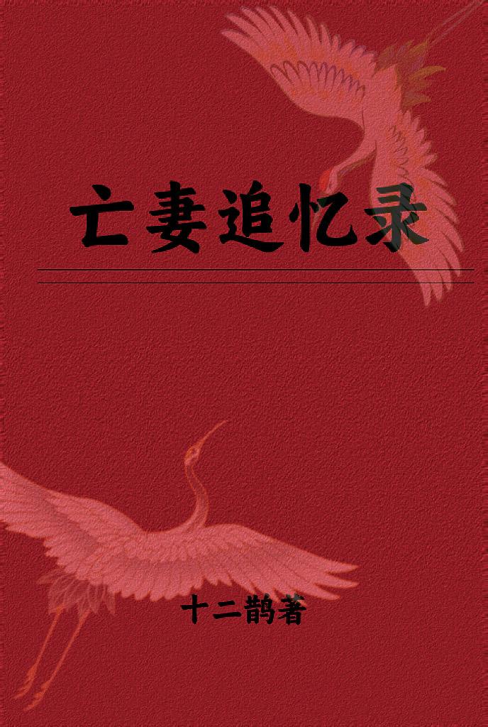 亡妻追憶錄