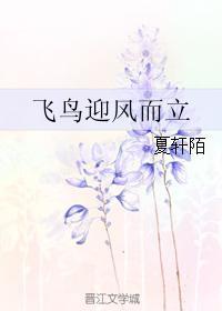 飛鳥迎風而立