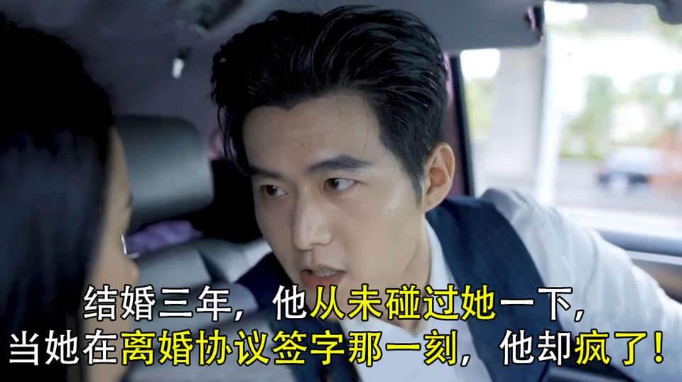 傅總，夫人又鬧離婚了
